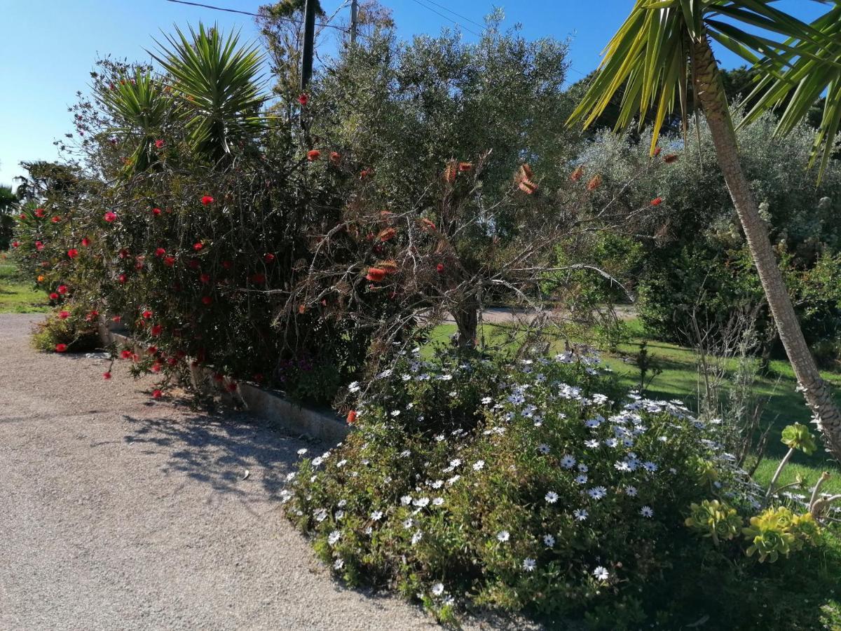 Il Patio Alghero Santa Maria la Palma Luaran gambar